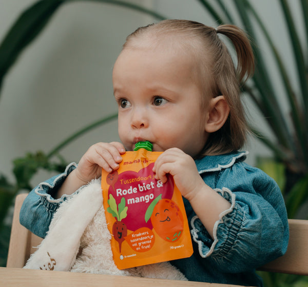 Tussendoortjes voor Baby’s – Box 2 - Mama Deli